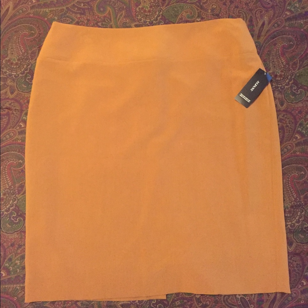 Alfani Skirt